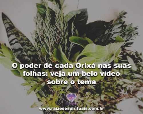 video-ervas