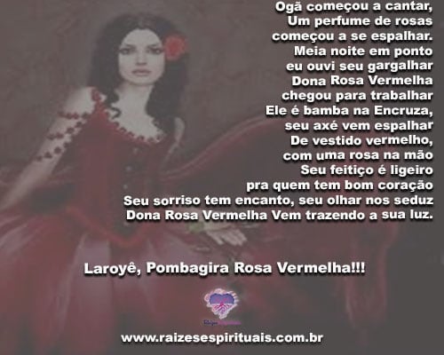 rosa vermelha