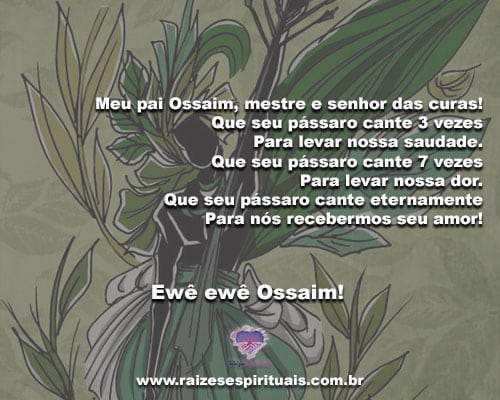 14_ossaim_2