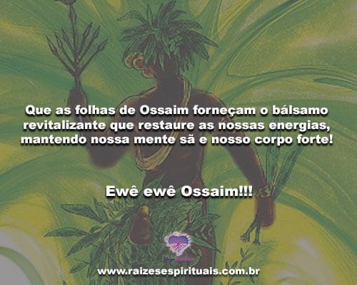 21_ossaim