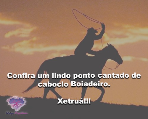 boiadeiro-ponto