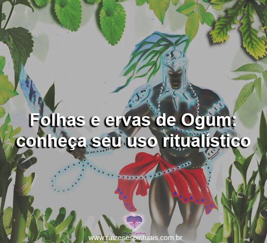 Folhas e ervas de Ogum: conheça seu uso ritualístico