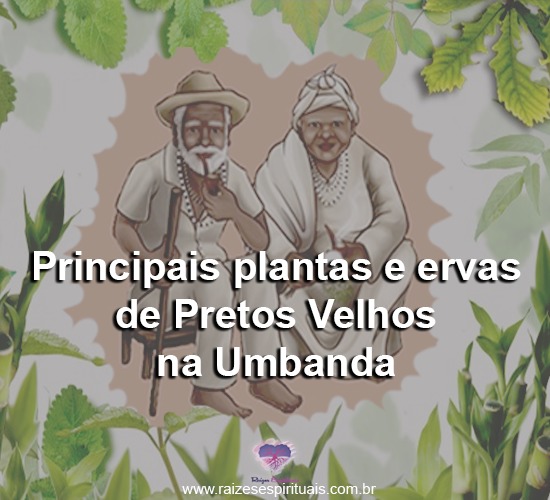 Principais plantas e ervas de Pretos Velhos na Umbanda