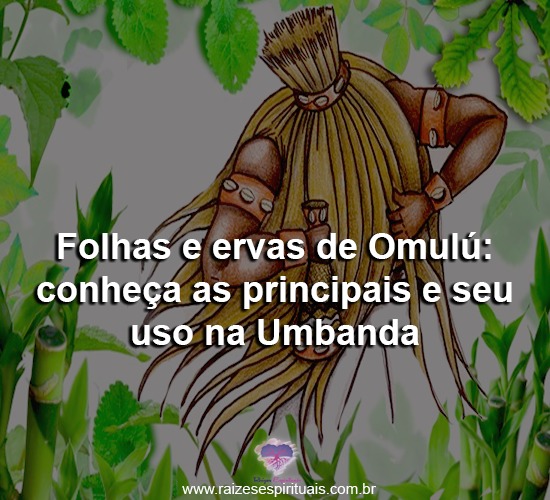 Folhas e ervas de Omulú: conheça as principais e seu uso na Umbanda