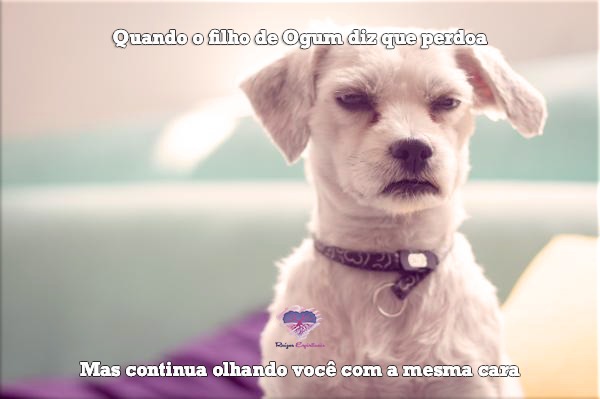 Quando um filho de Ogum perdoa