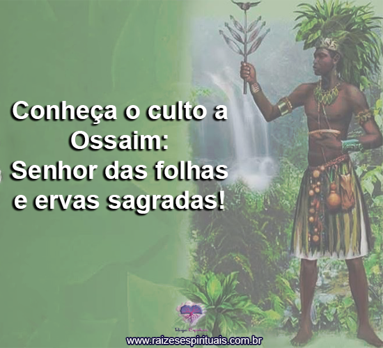 culto-ossaim