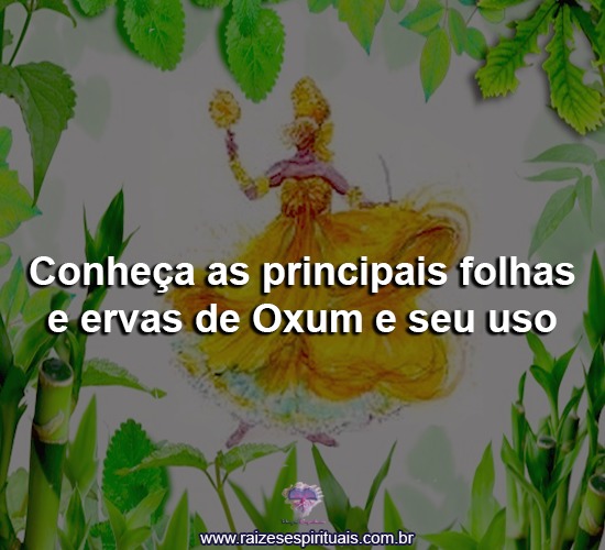 Conheça as principais folhas e ervas de Oxum e seu uso