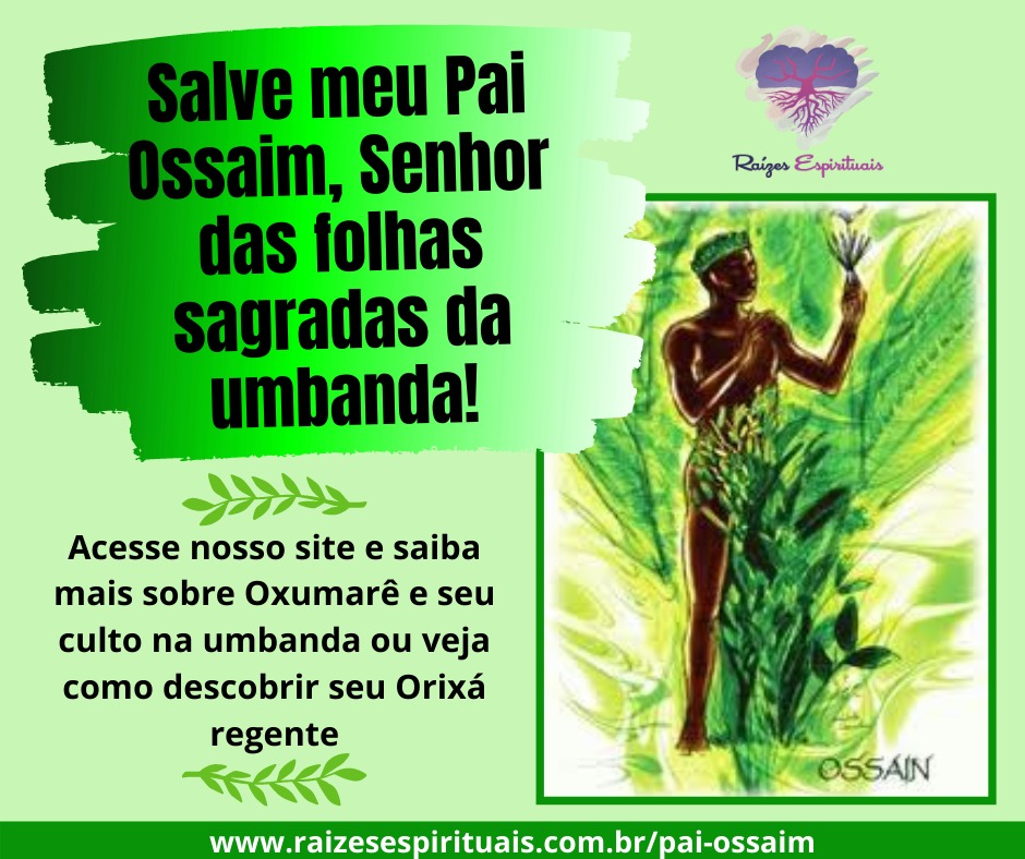 ossaim-frase