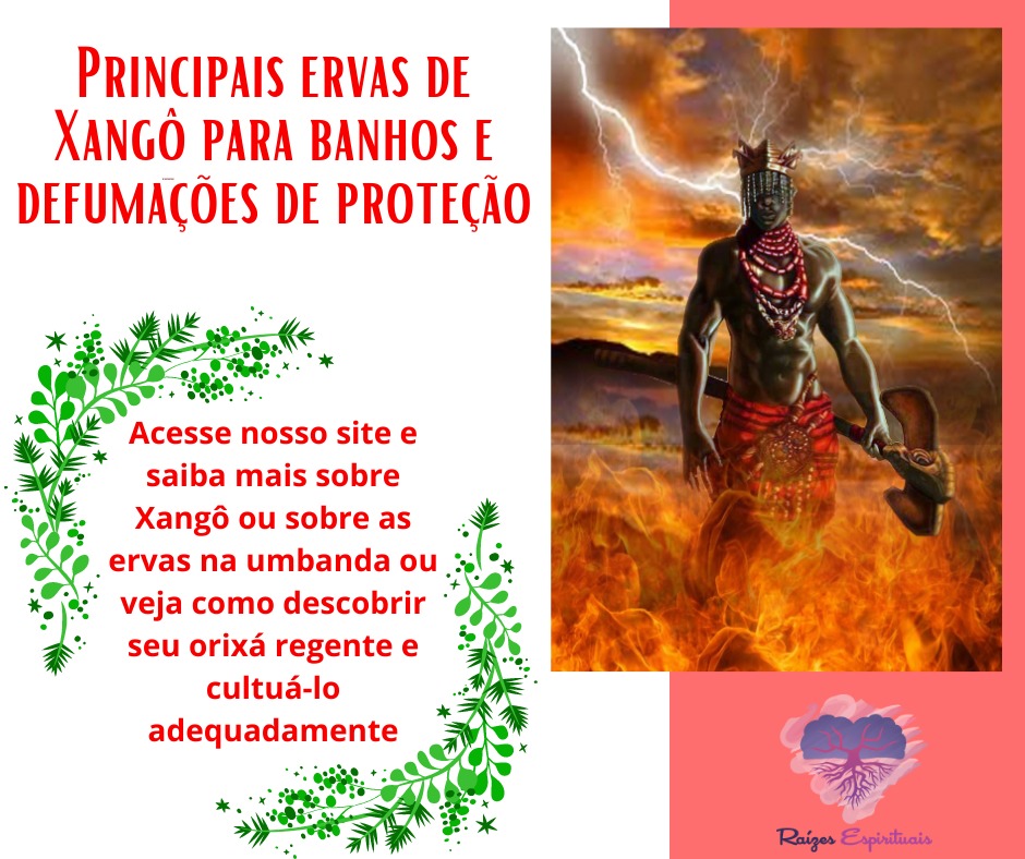 Principais ervas de Xangô para banhos e defumações de proteção