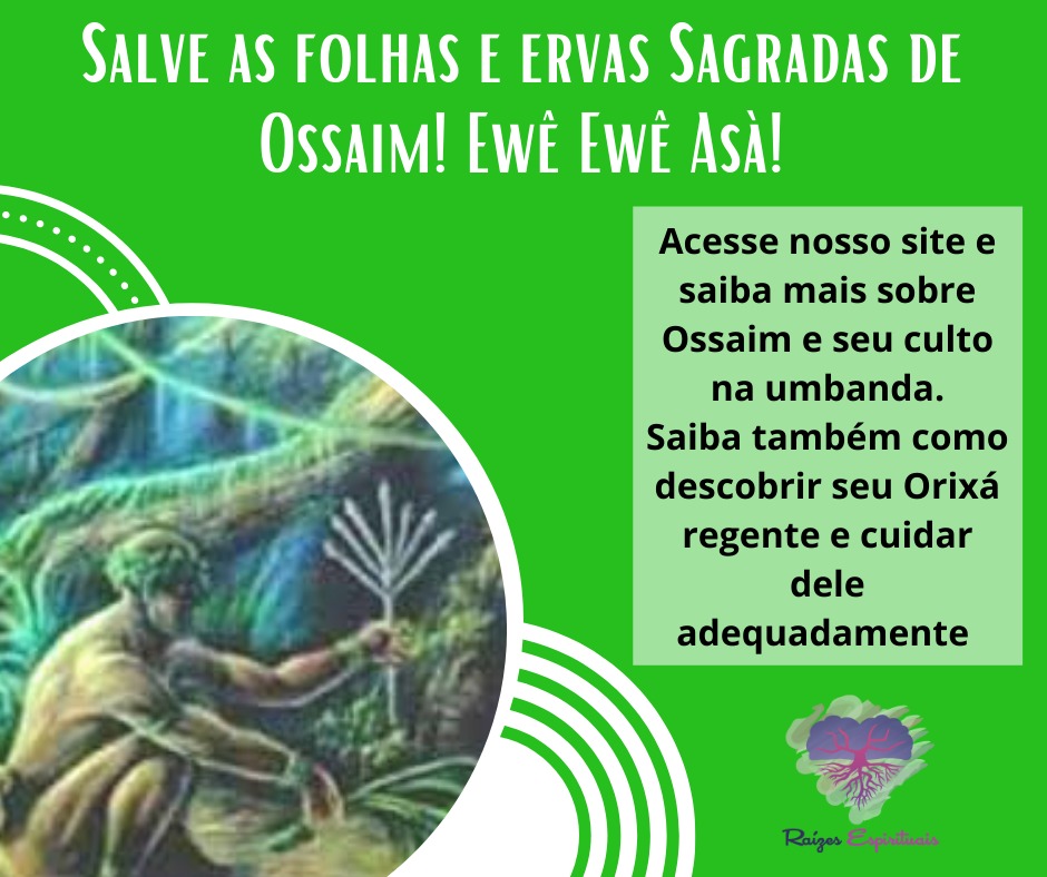 ossaim-frase