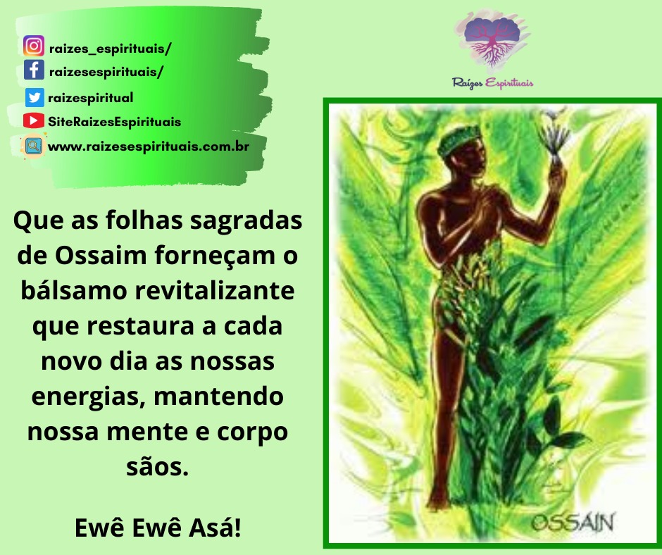 ossaim-frase