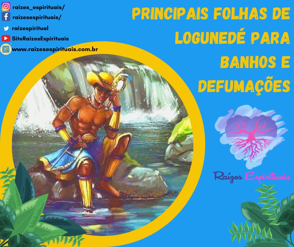 folhas-logunede