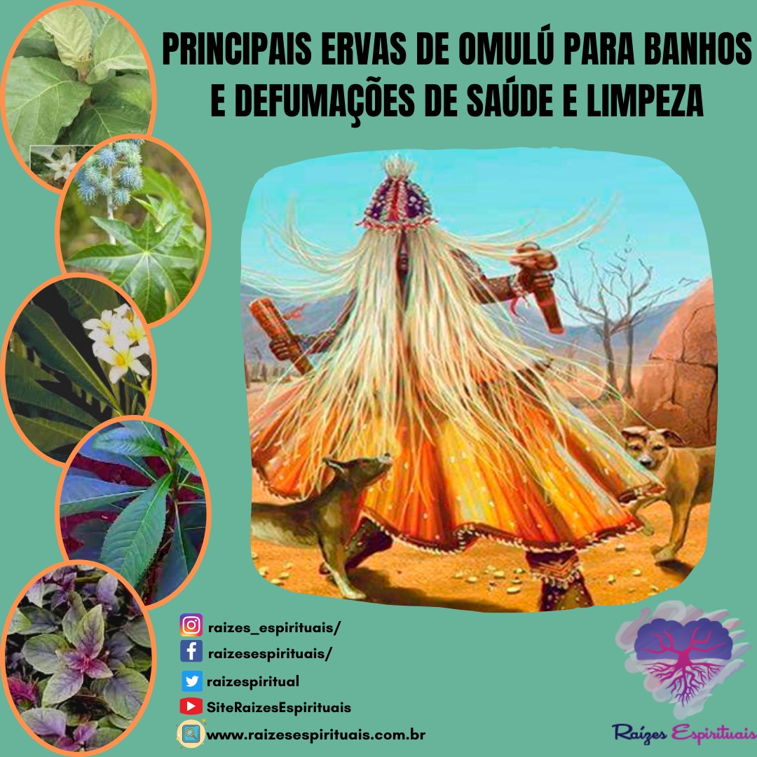 ervas-de-omulu